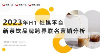 2023年H1新茶饮品牌跨界联名营销分析-果集行研-2023.07