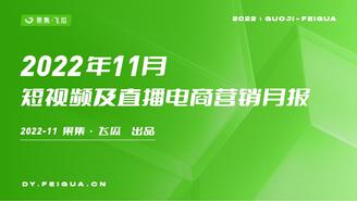【飞瓜月报】2022年11月短视频及直播电商营销月报