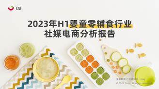 2023年H1婴童零辅食行业社媒电商分析报告-果集行研-2023.08