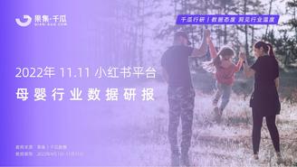 2022年11.11母婴行业数据研报（小红书平台）