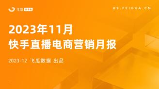 【飞瓜快数】2023年11月快手直播电商营销月报